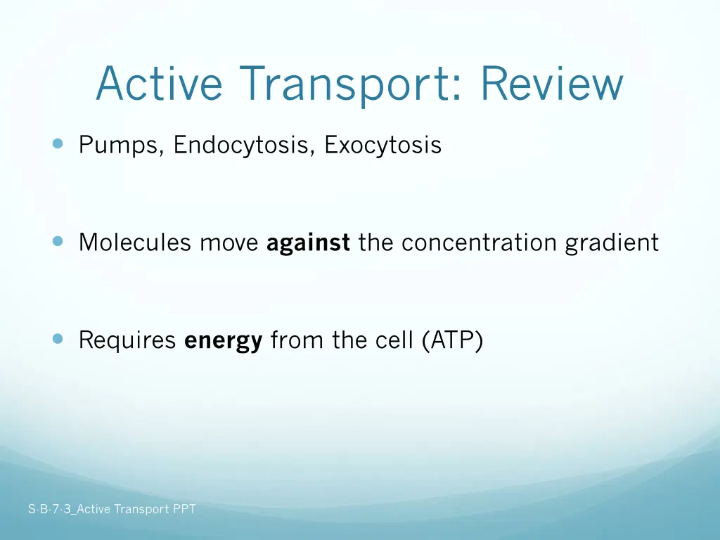 active transport review