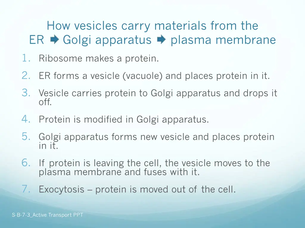 how vesicles carry materials from the er golgi