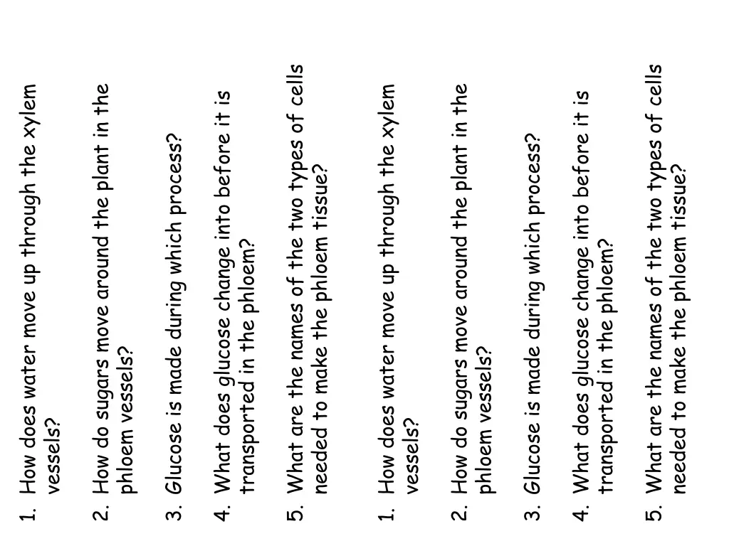 5 what are the names of the two types of cells