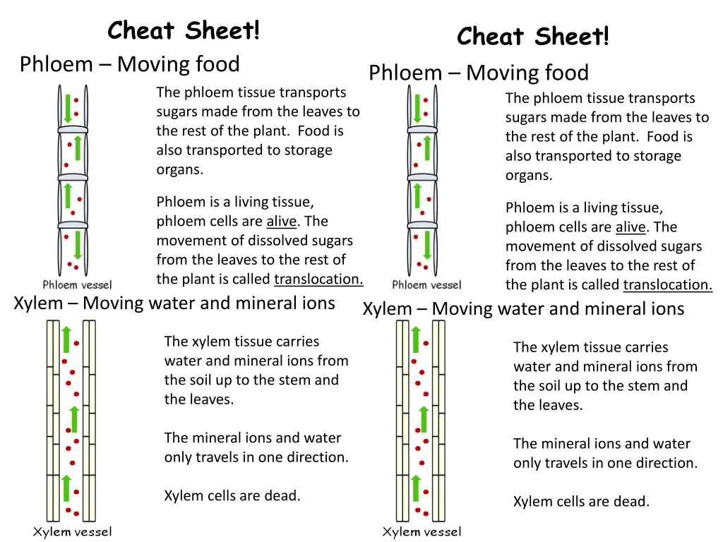 cheat sheet