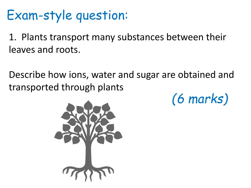 exam style question