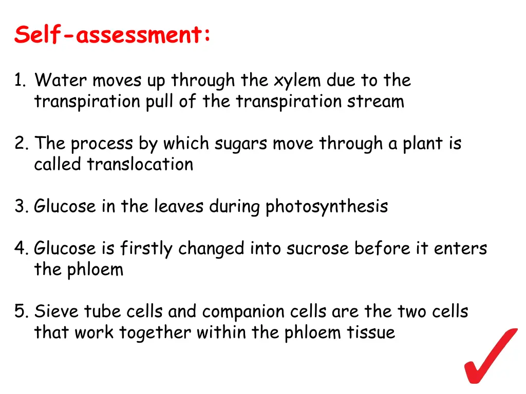 self assessment