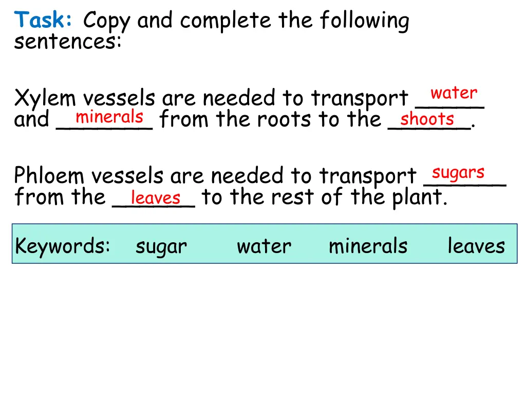 task copy and complete the following sentences