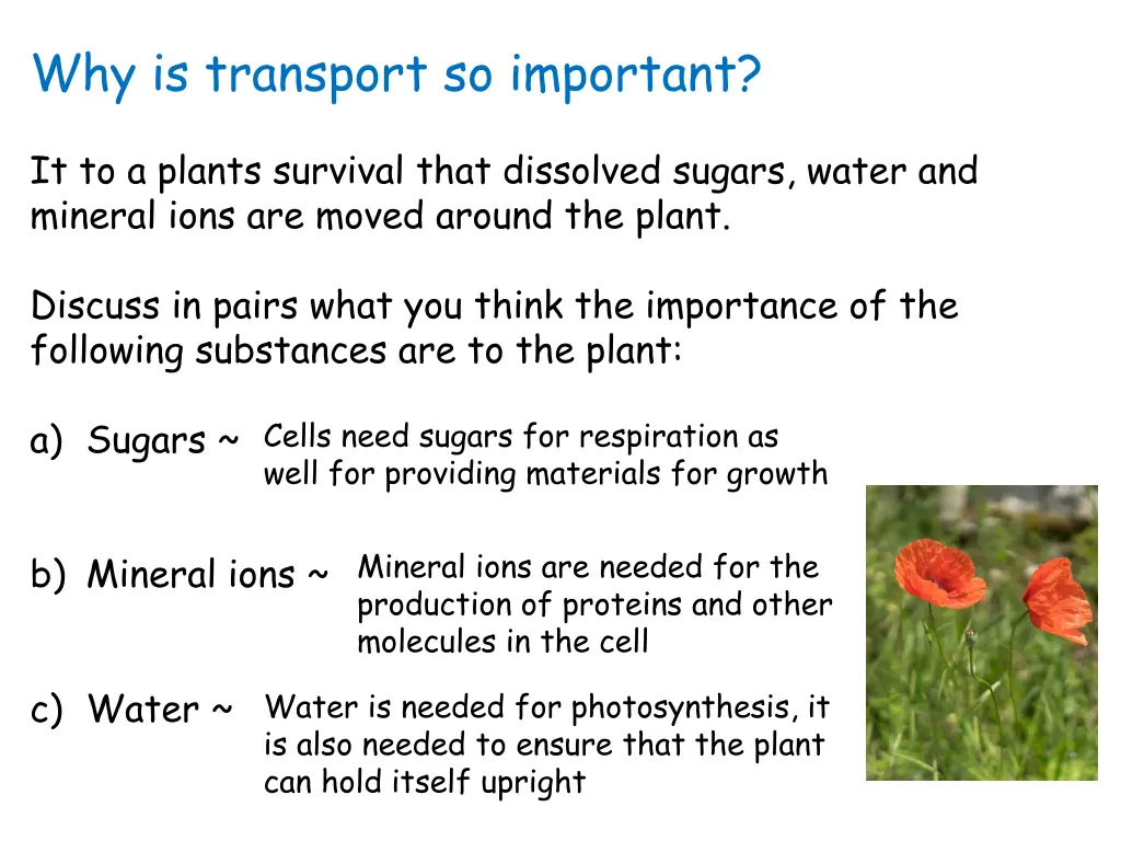 why is transport so important