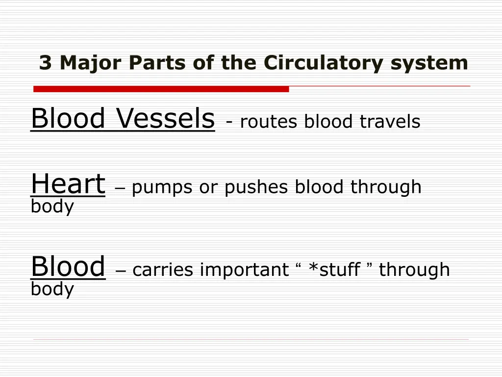 3 major parts of the circulatory system