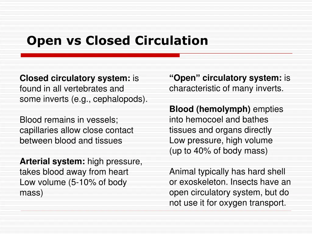 open vs closed circulation