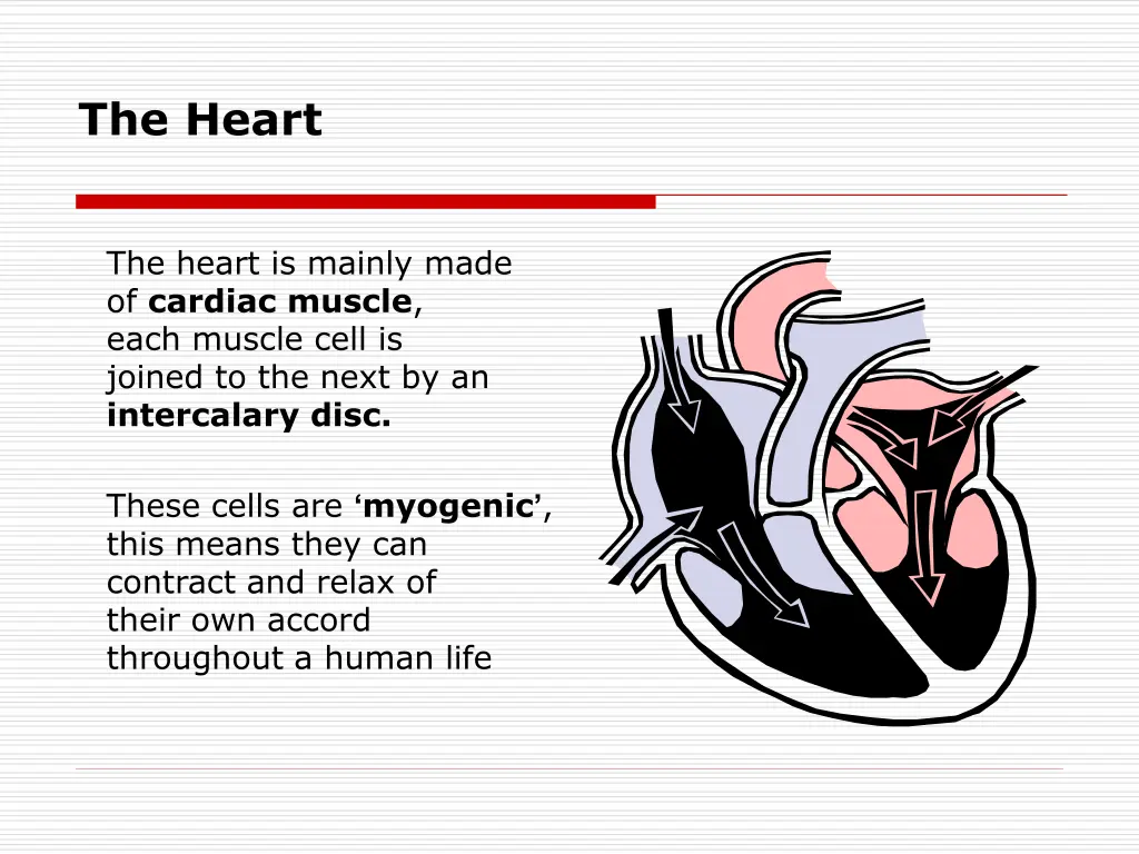 the heart