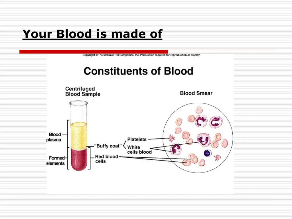 your blood is made of