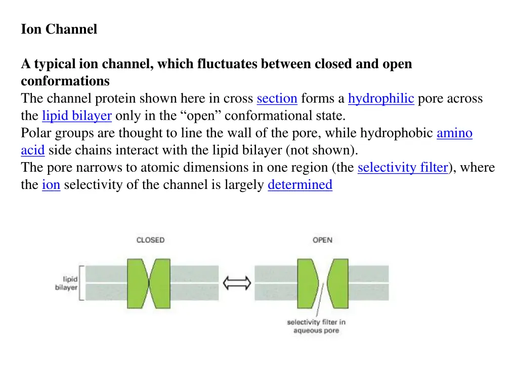 ion channel