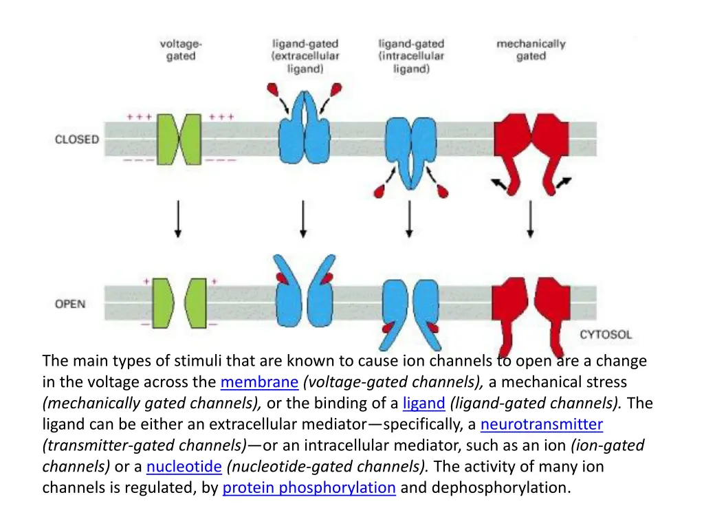 the main types of stimuli that are known to cause