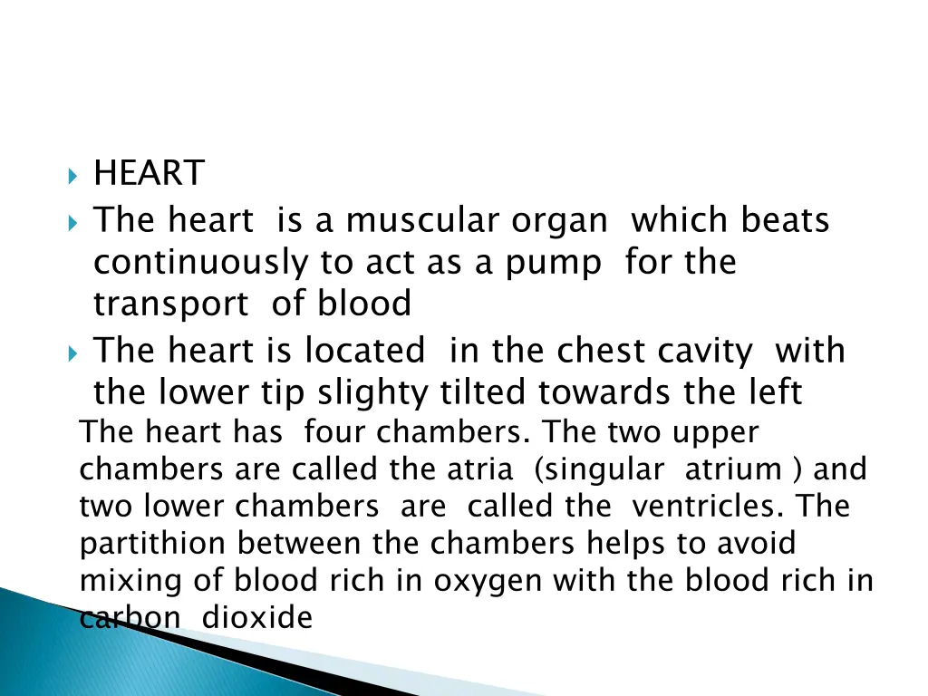 heart the heart is a muscular organ which beats