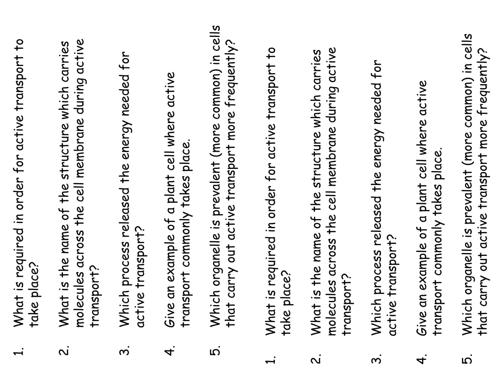 which organelle is prevalent more common in cells