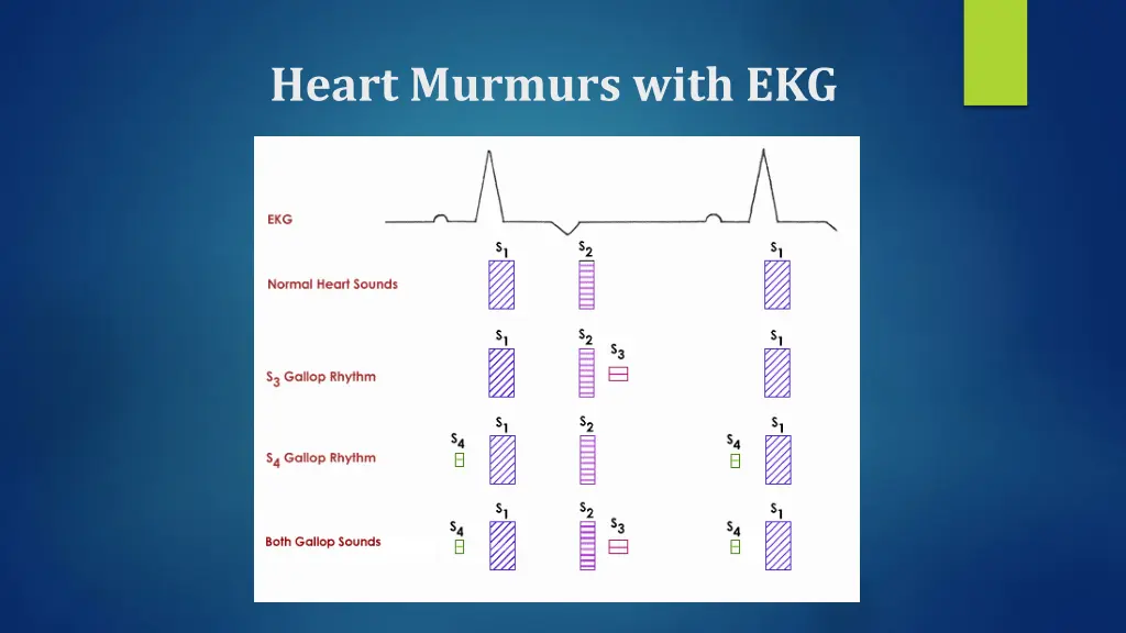 heart murmurs with ekg