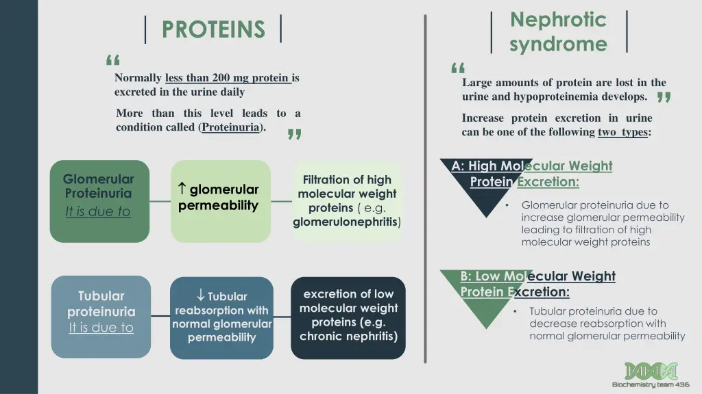 nephrotic syndrome