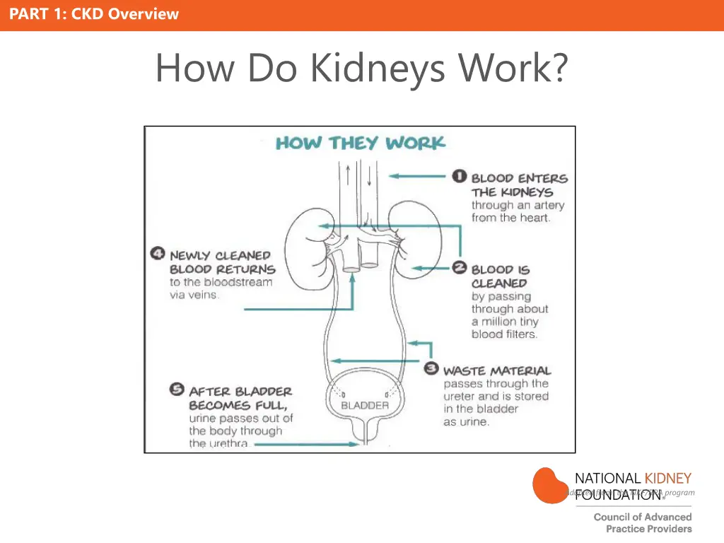 part 1 ckd overview 1