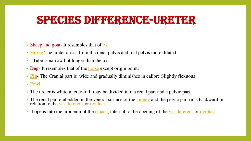 species difference species difference ureter