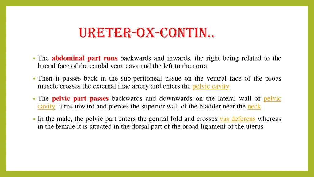 ureter ox contin