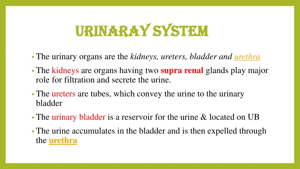 urinaray system urinaray system