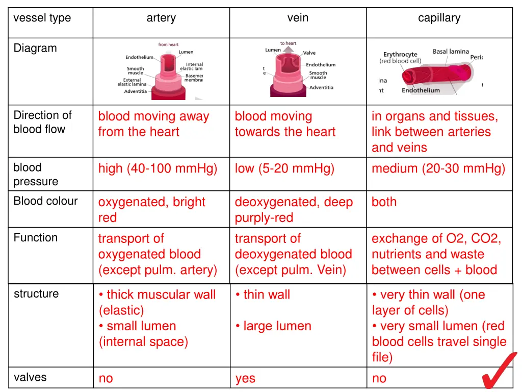 vessel type 1