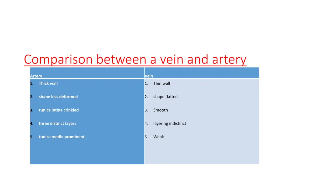 comparison between a vein and artery