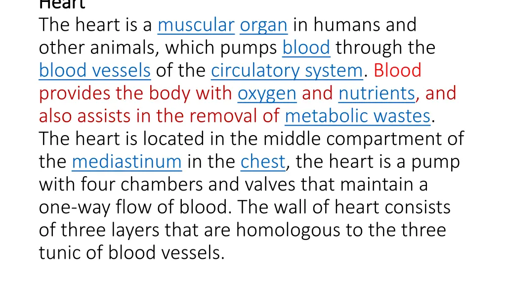 heart heart the heart is a muscular organ