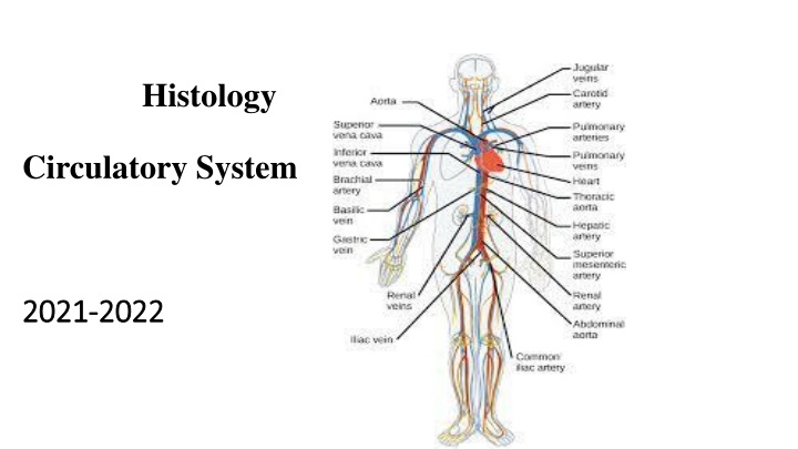 histology