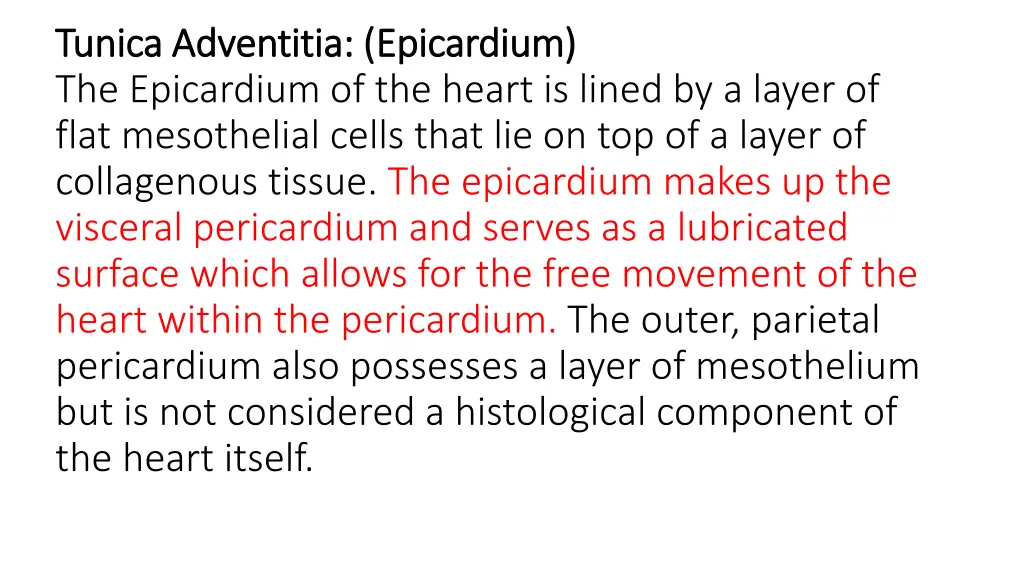 tunica adventitia epicardium tunica adventitia