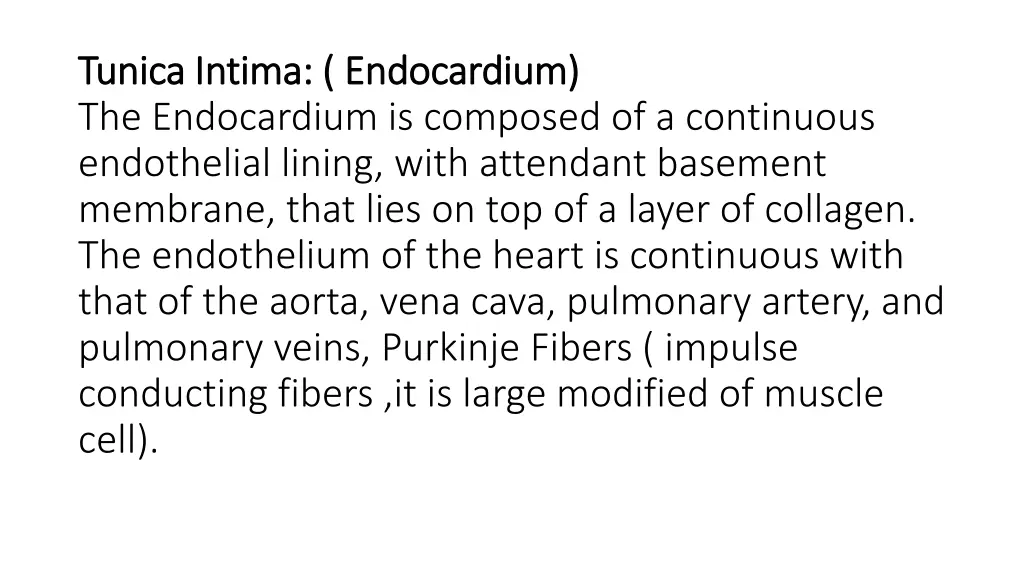 tunica intima endocardium tunica intima