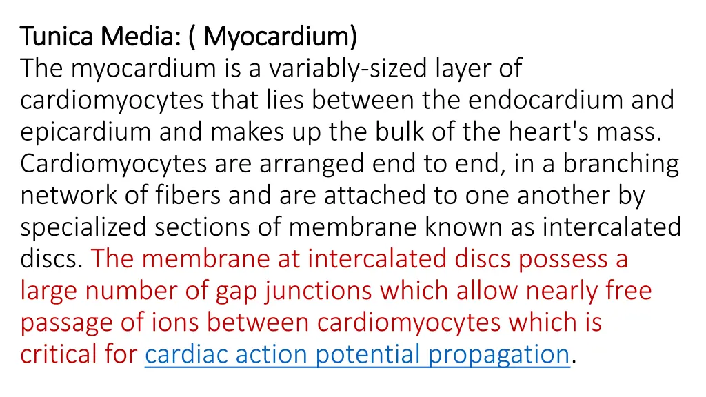 tunica media myocardium tunica media myocardium