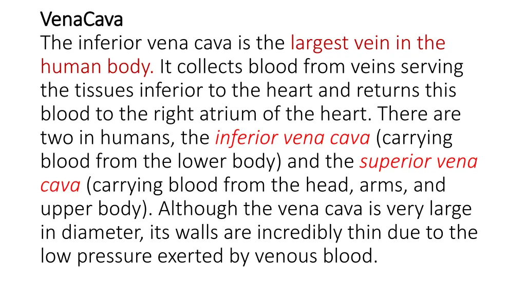 venacava venacava the inferior vena cava