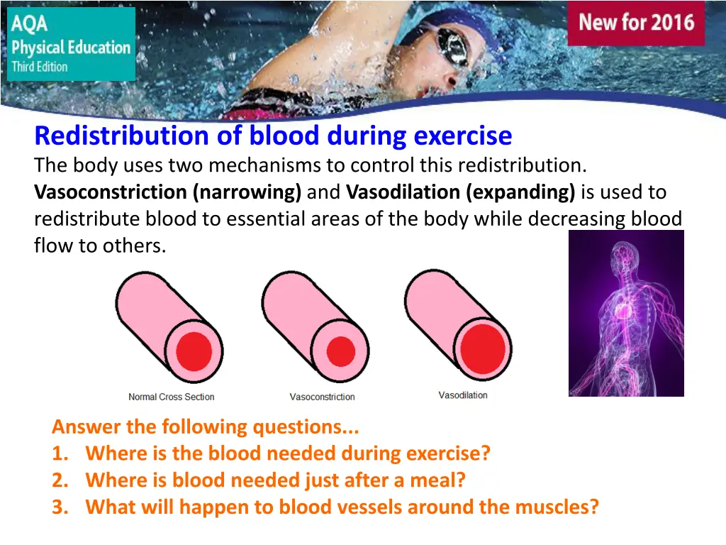 redistribution of blood during exercise