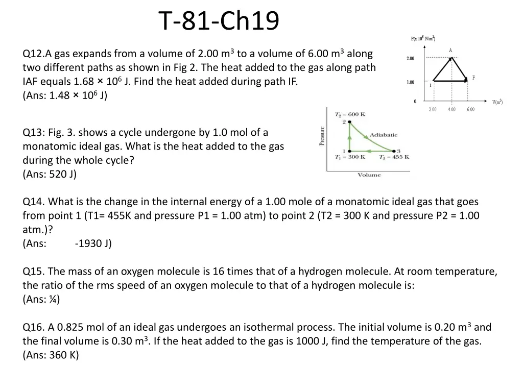 t 81 ch19