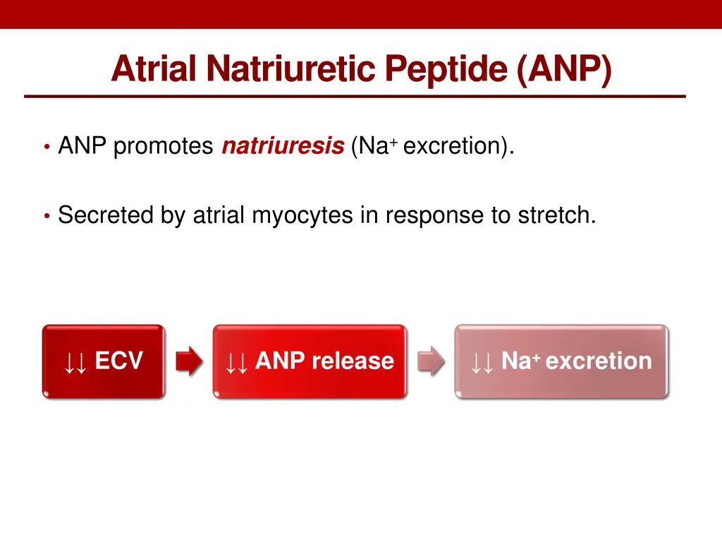 atrial natriuretic peptide anp