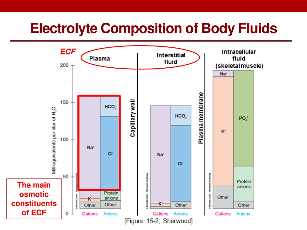 electrolyte composition of body fluids