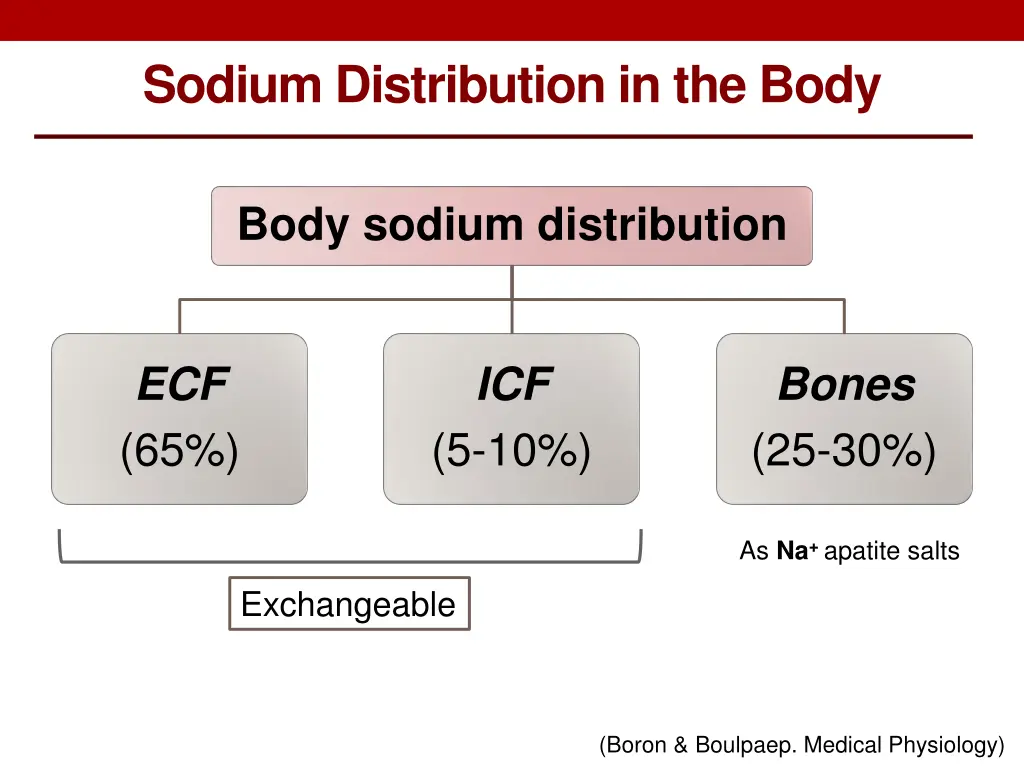 sodium distribution in the body