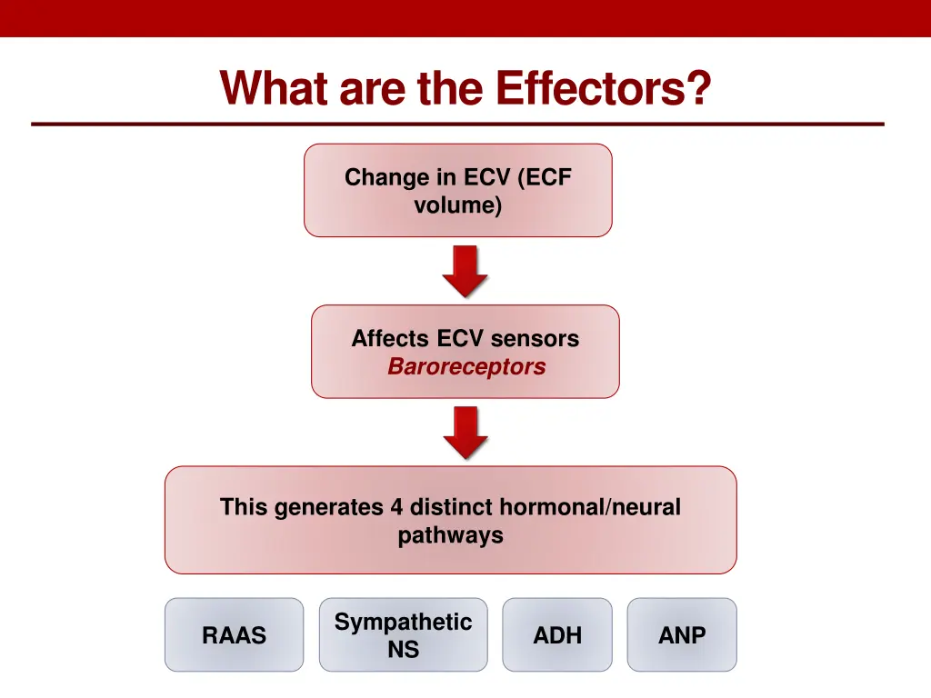 what are the effectors