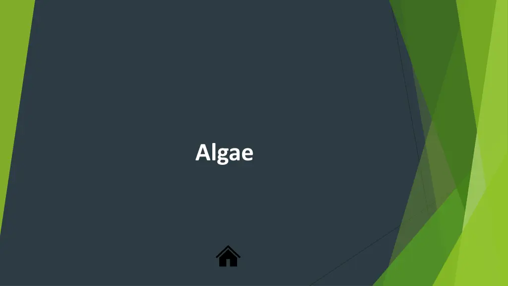 algae