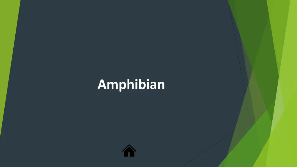 amphibian