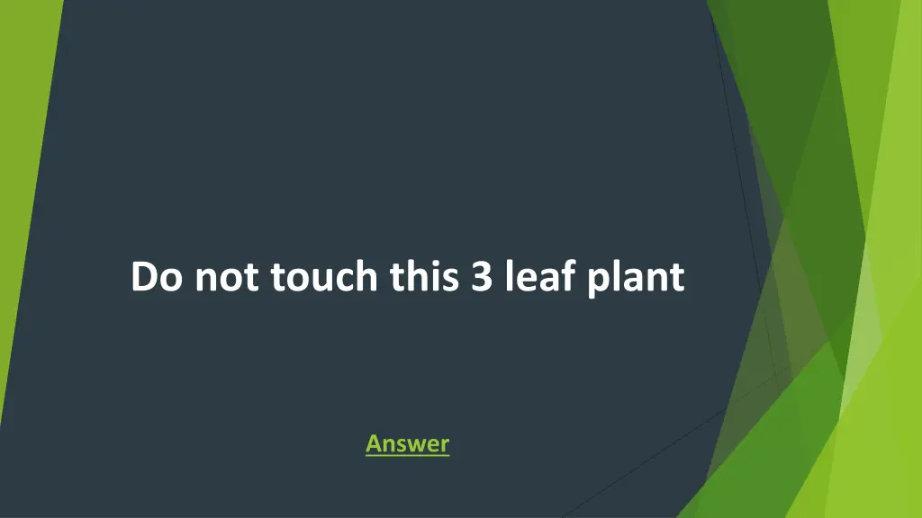 do not touch this 3 leaf plant