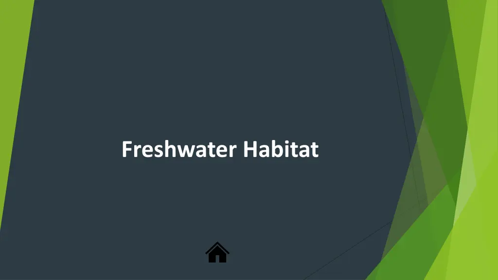 freshwater habitat