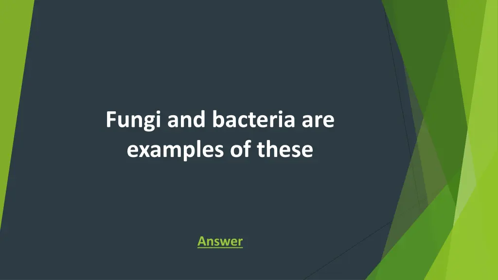 fungi and bacteria are examples of these