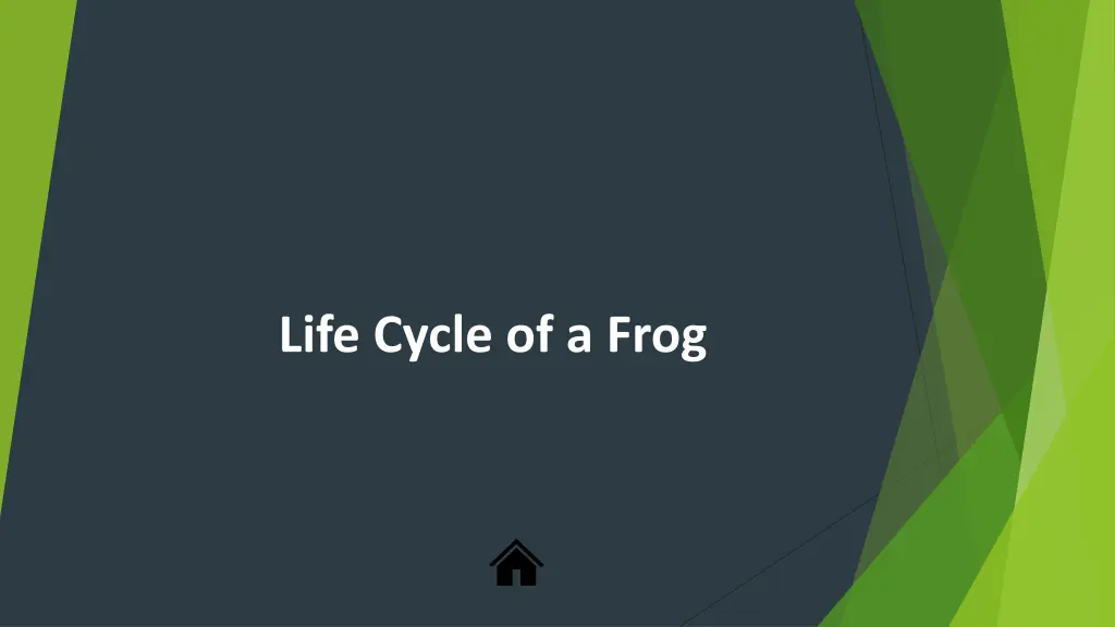 life cycle of a frog