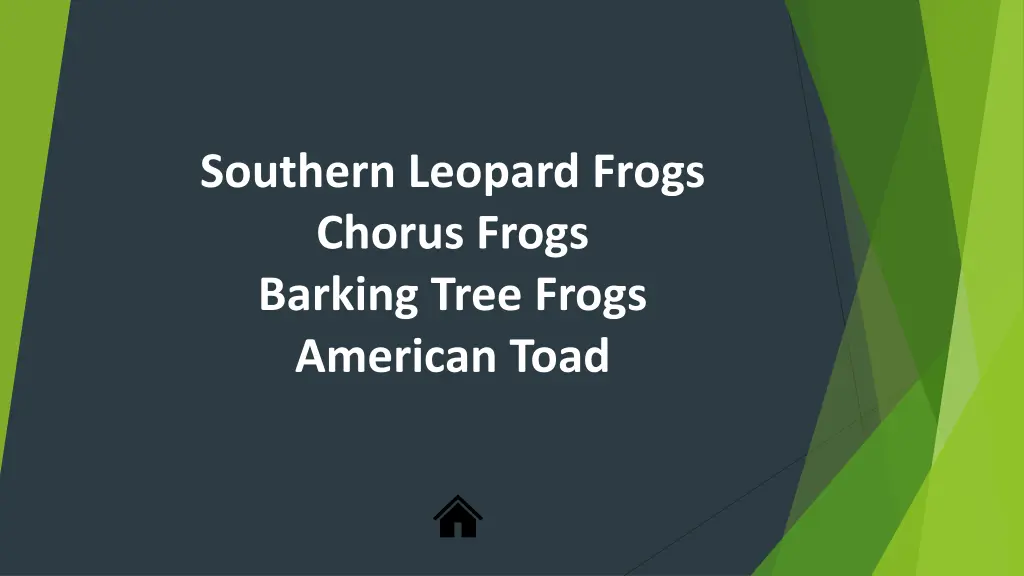 southern leopard frogs chorus frogs barking tree