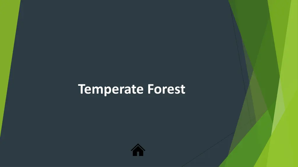 temperate forest