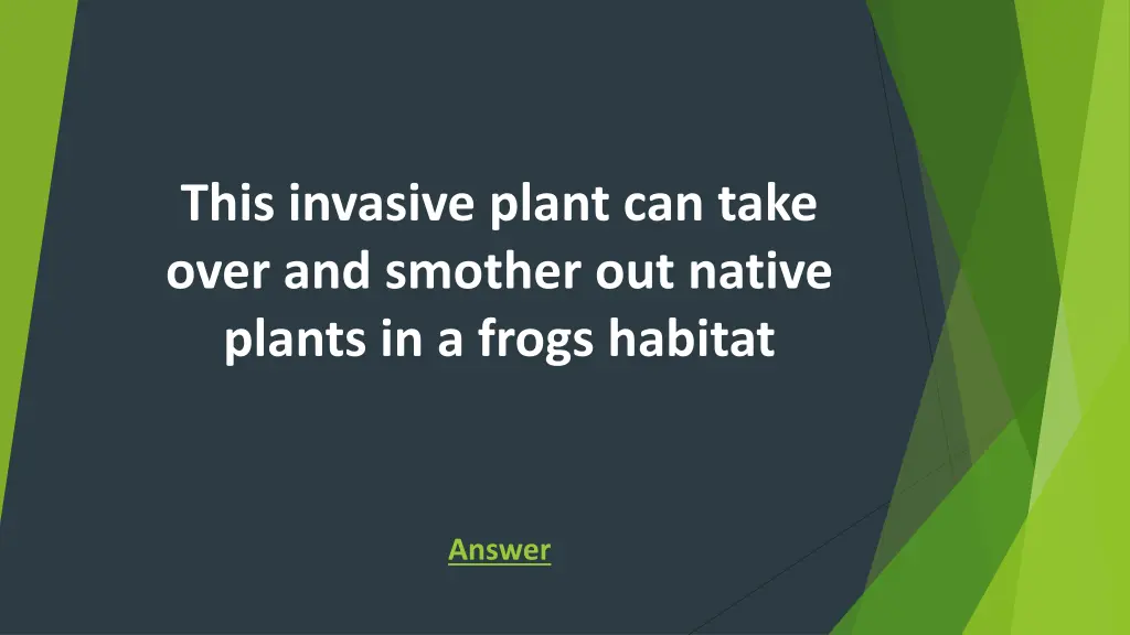 this invasive plant can take over and smother