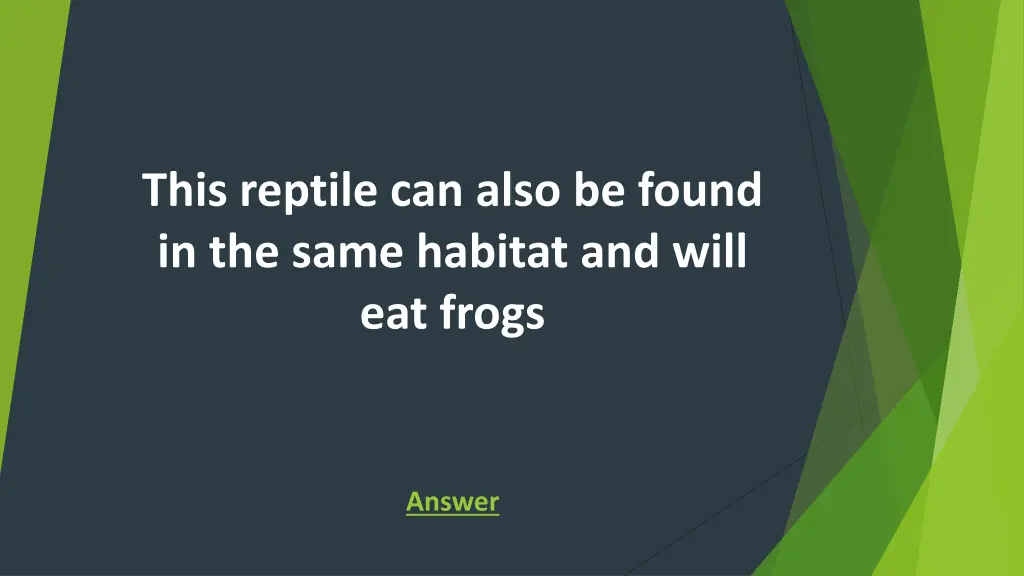 this reptile can also be found in the same