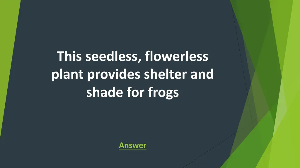 this seedless flowerless plant provides shelter