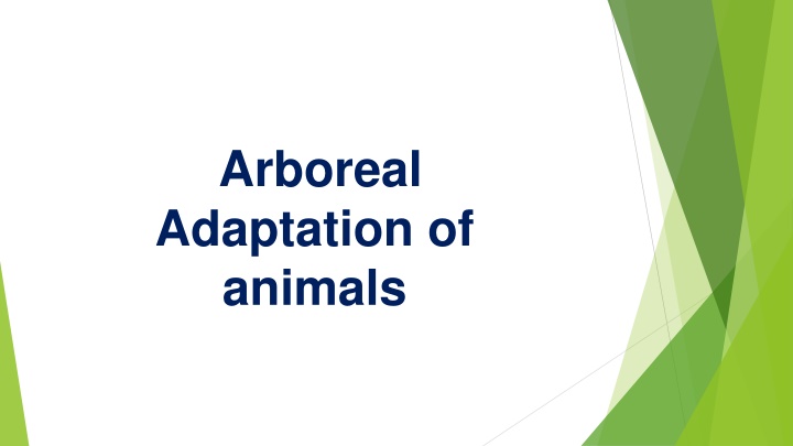 arboreal adaptation of animals