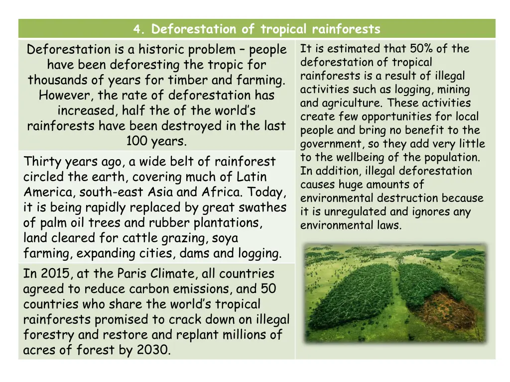 4 deforestation of tropical rainforests