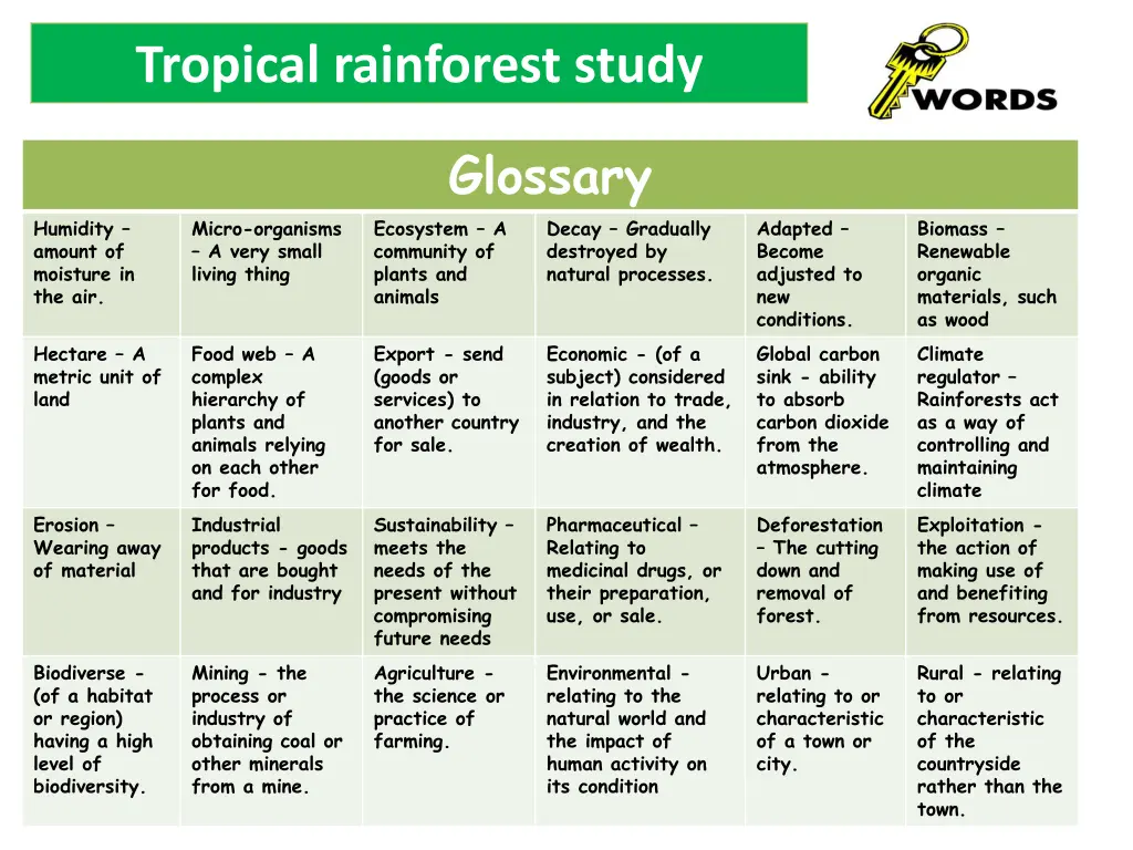 tropical rainforest study